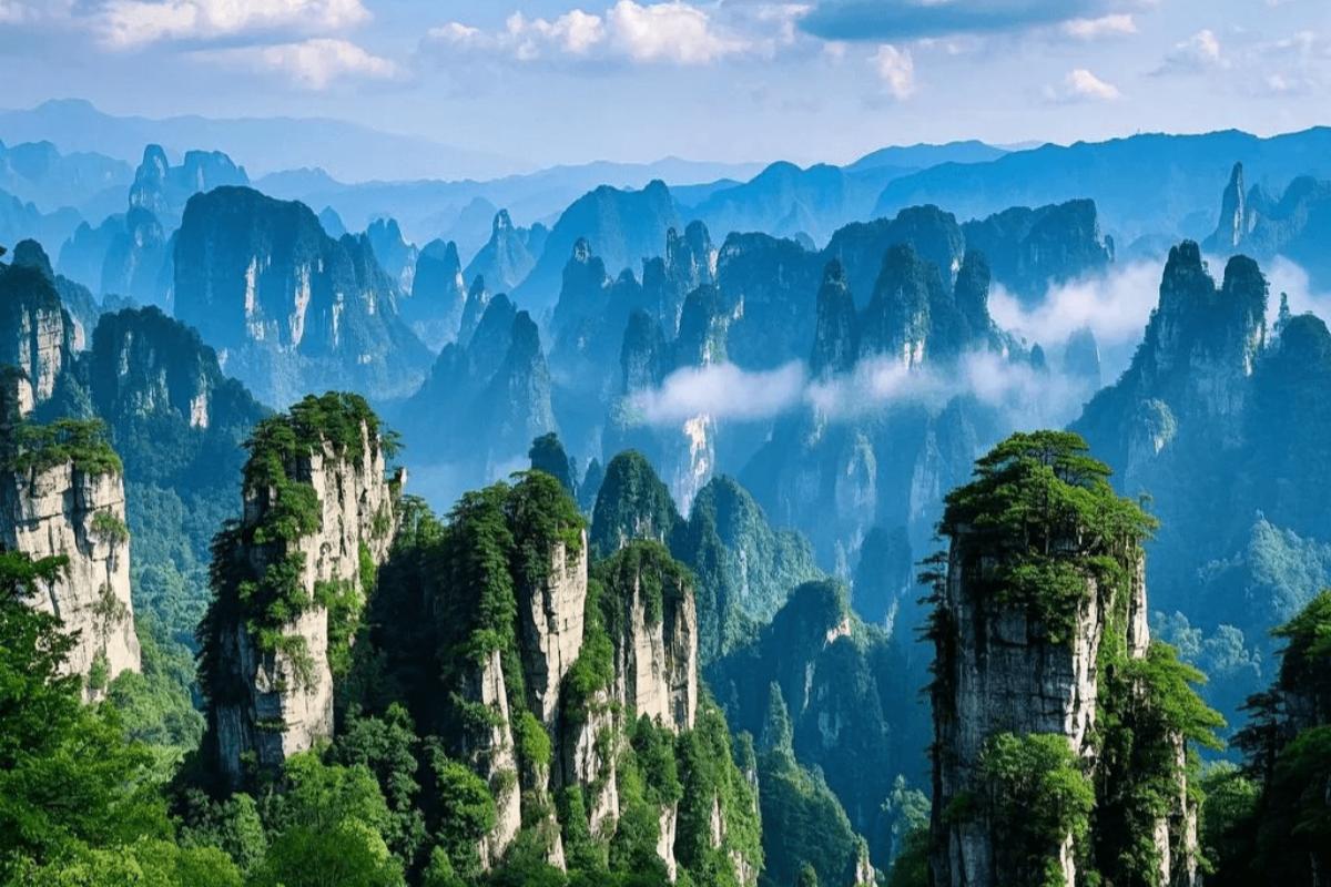 Tall sandstone pillars covered with lush green vegetation rising from a forested valley in Zhangjiajie National Forest Park, China.