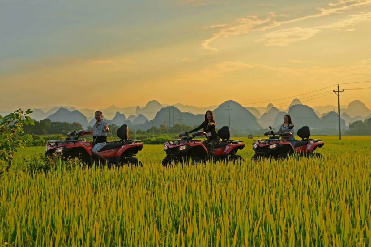Three riders on red ATVs crossing golden rice fields at sunset with karst mountains in the background.