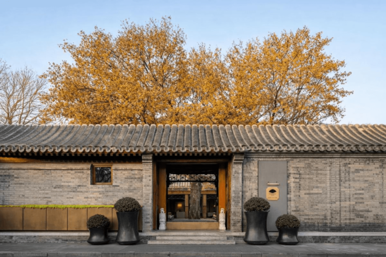 Elegant Beijing courtyard entrance with grey brick walls and golden autumn trees rising above the traditional tiled roof