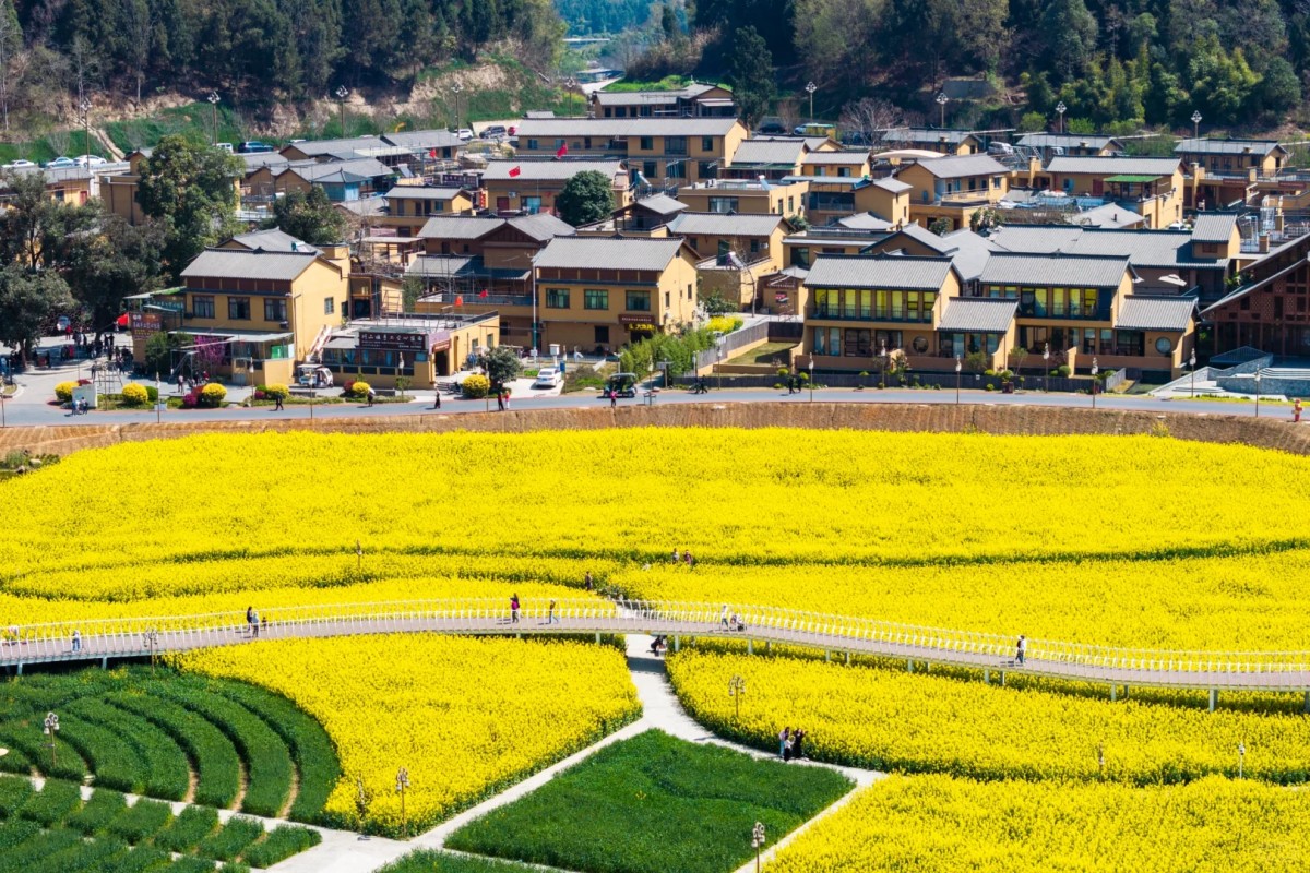 Yellow flower fields and village scenery in Chongqing countryside.