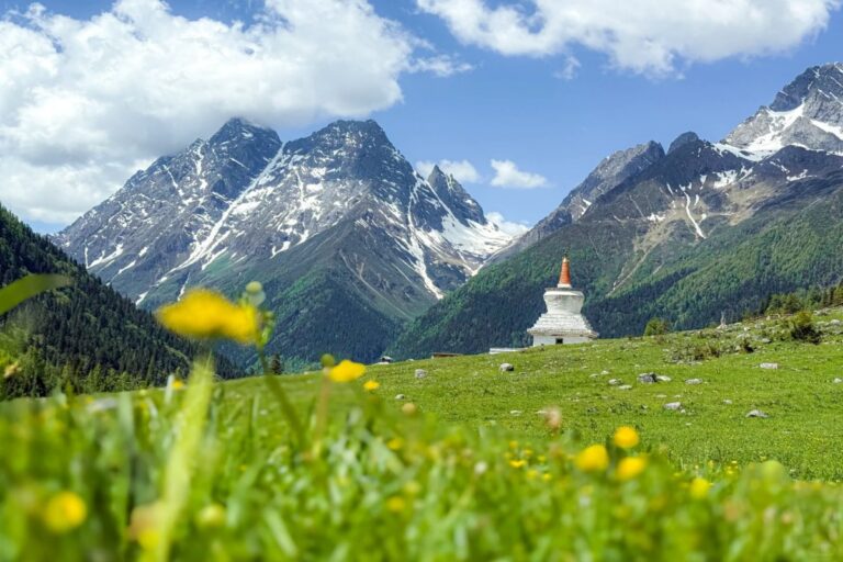 White Tibetan stupa in a meadow with snow-capped mountains.