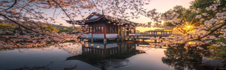 Traditional pavilion by lake framed by cherry blossoms at sunset