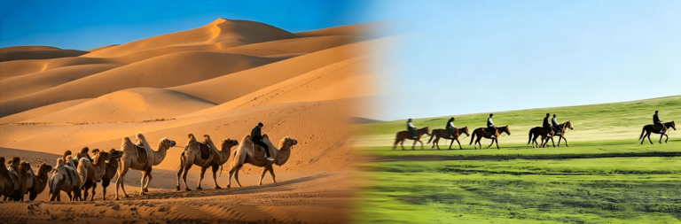 Camels in desert and horse riders on green grassland
