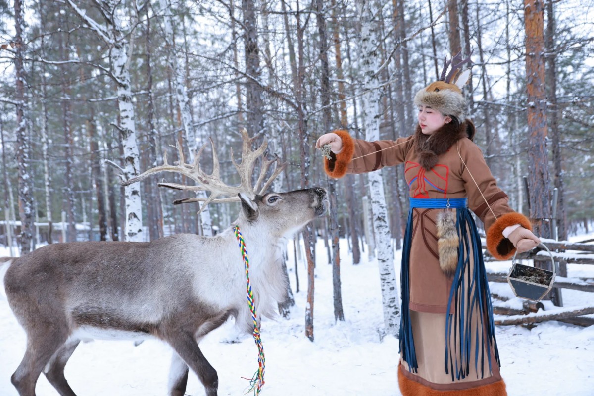 Traveler feeding reindeer in winter forest scene