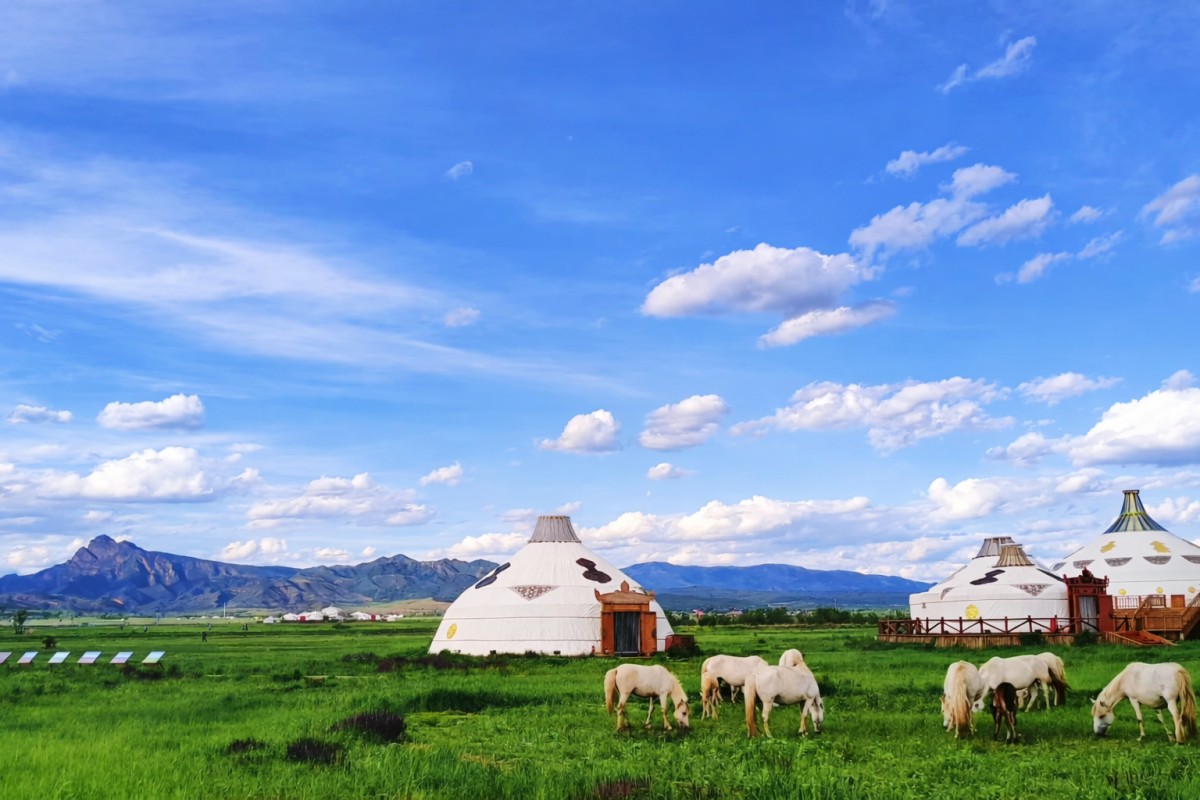 Traditional Mongolian yurts on green grassland with grazing horses