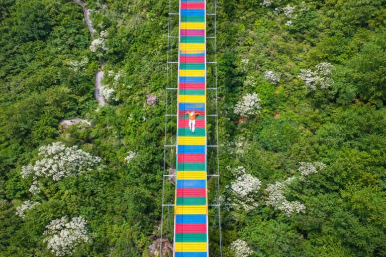 Person walking on colorful glass bridge over green forest