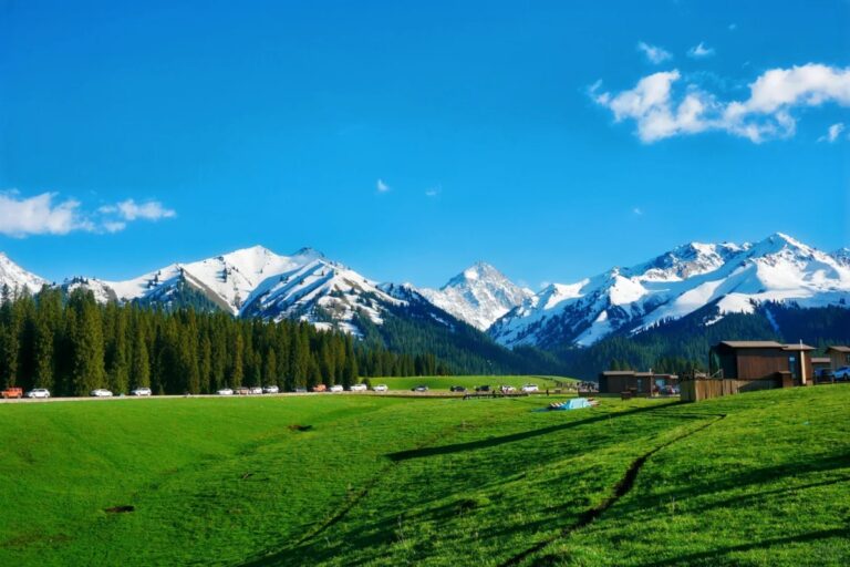 Green meadow with cabins and snowy mountains under clear blue sky.