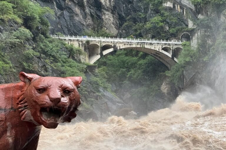 Raging river at gorge with stone bridge and tiger statue in foreground