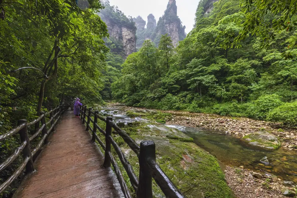 Golden Whip Stream hiking trail in Zhangjiajie National Forest Park