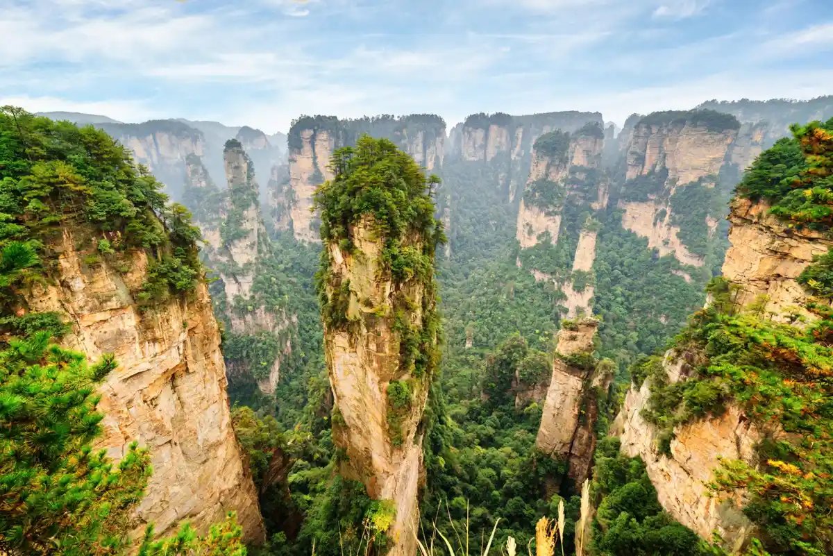 Yuanjiajie sandstone pillars in Zhangjiajie National Forest Park