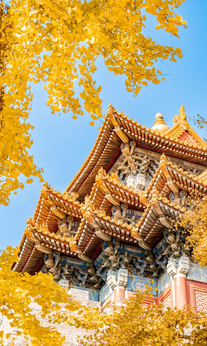Seasonal scenery in Beijing during spring or autumn