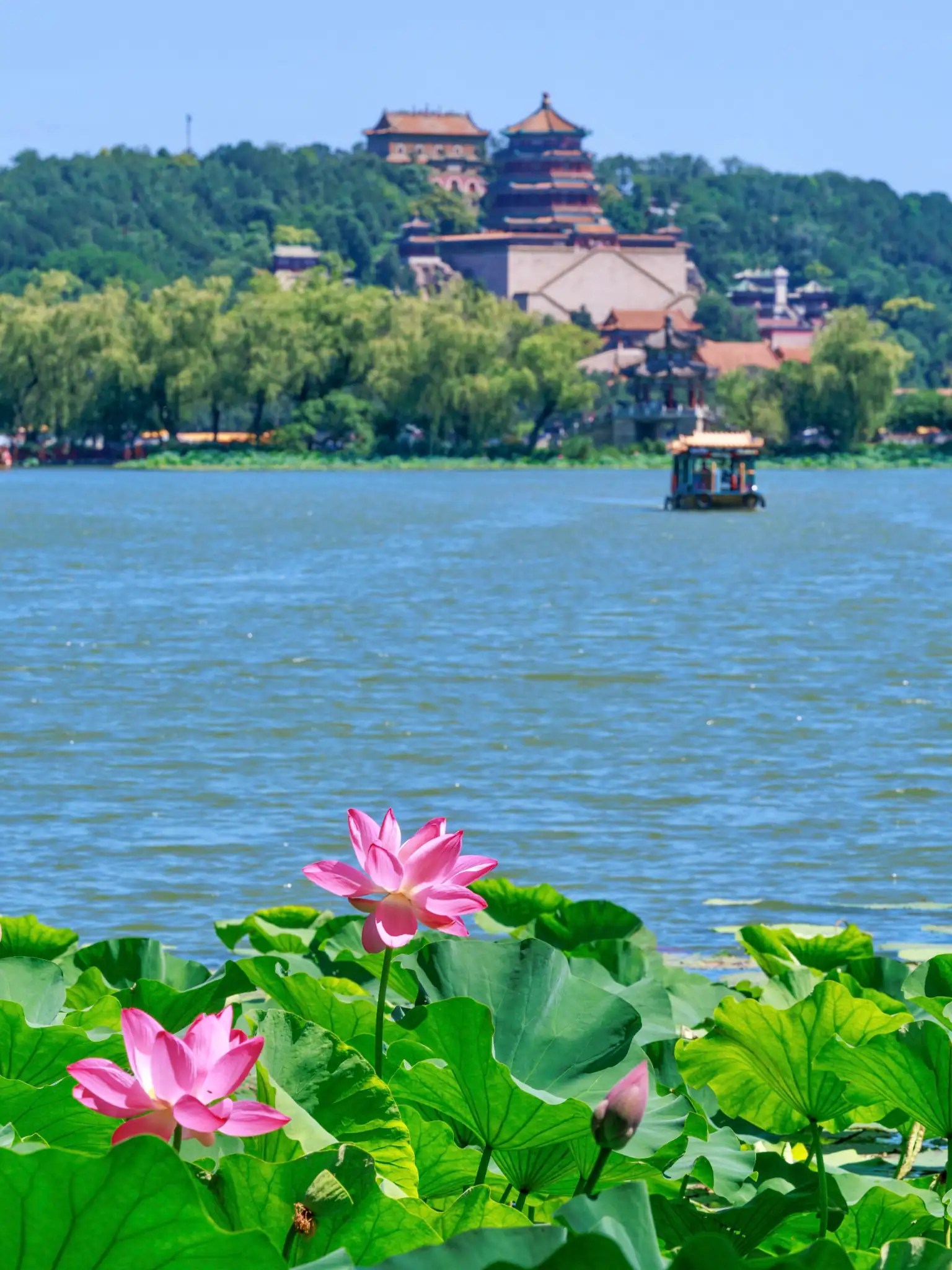 Summer scenery at the Summer Palace in Beijing