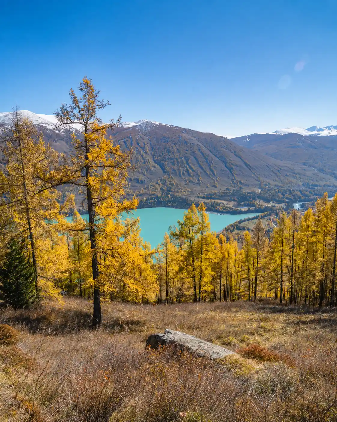 Autumn colors around Kanas Lake in Northern Xinjiang