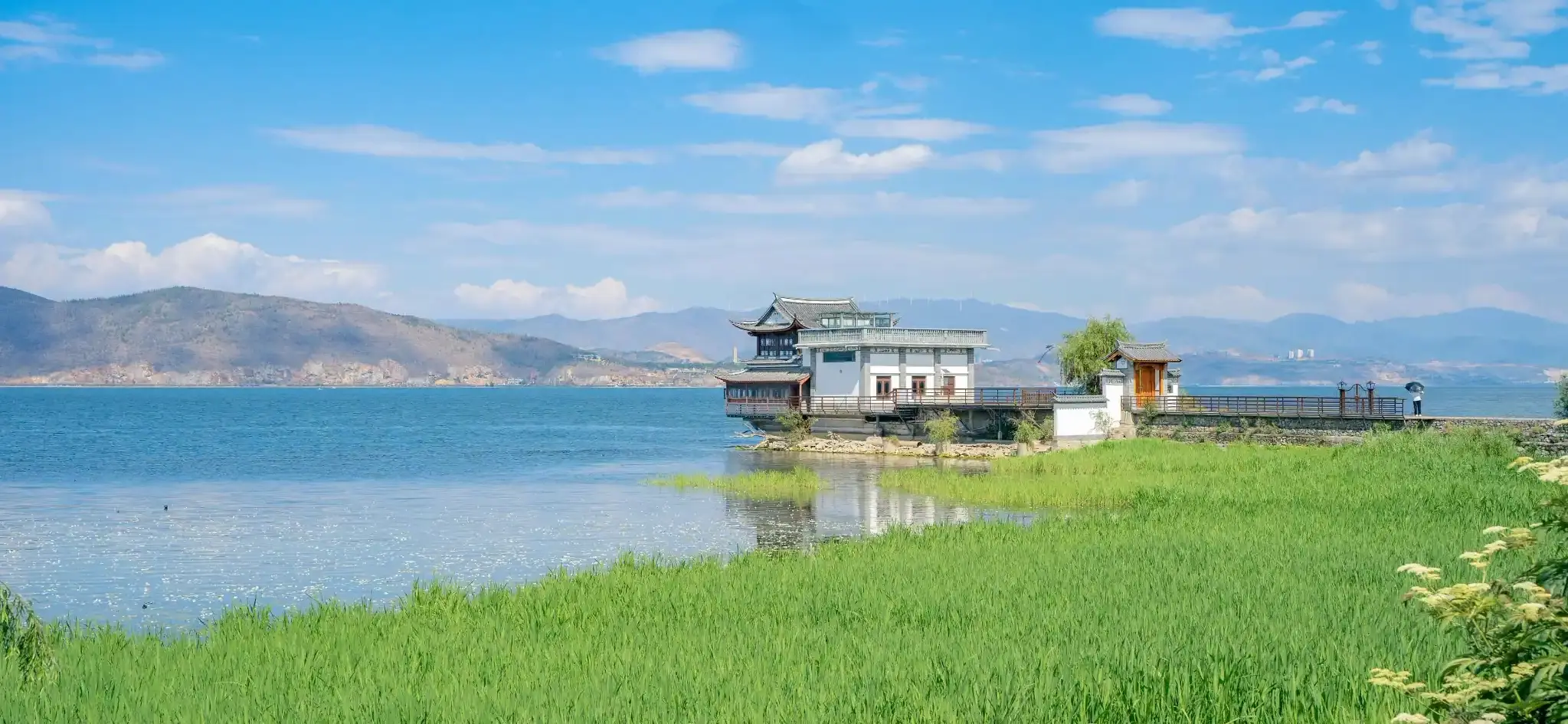 Green lakeshore beside Erhai Lake with mountain scenery near Dali, Yunnan