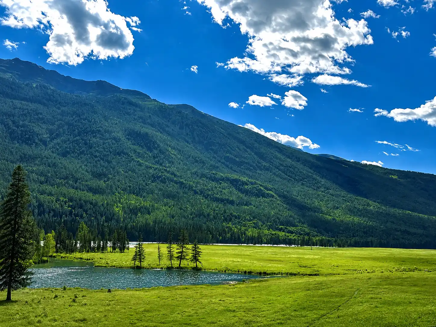 Northern Xinjiang mountain, lake and grassland landscape