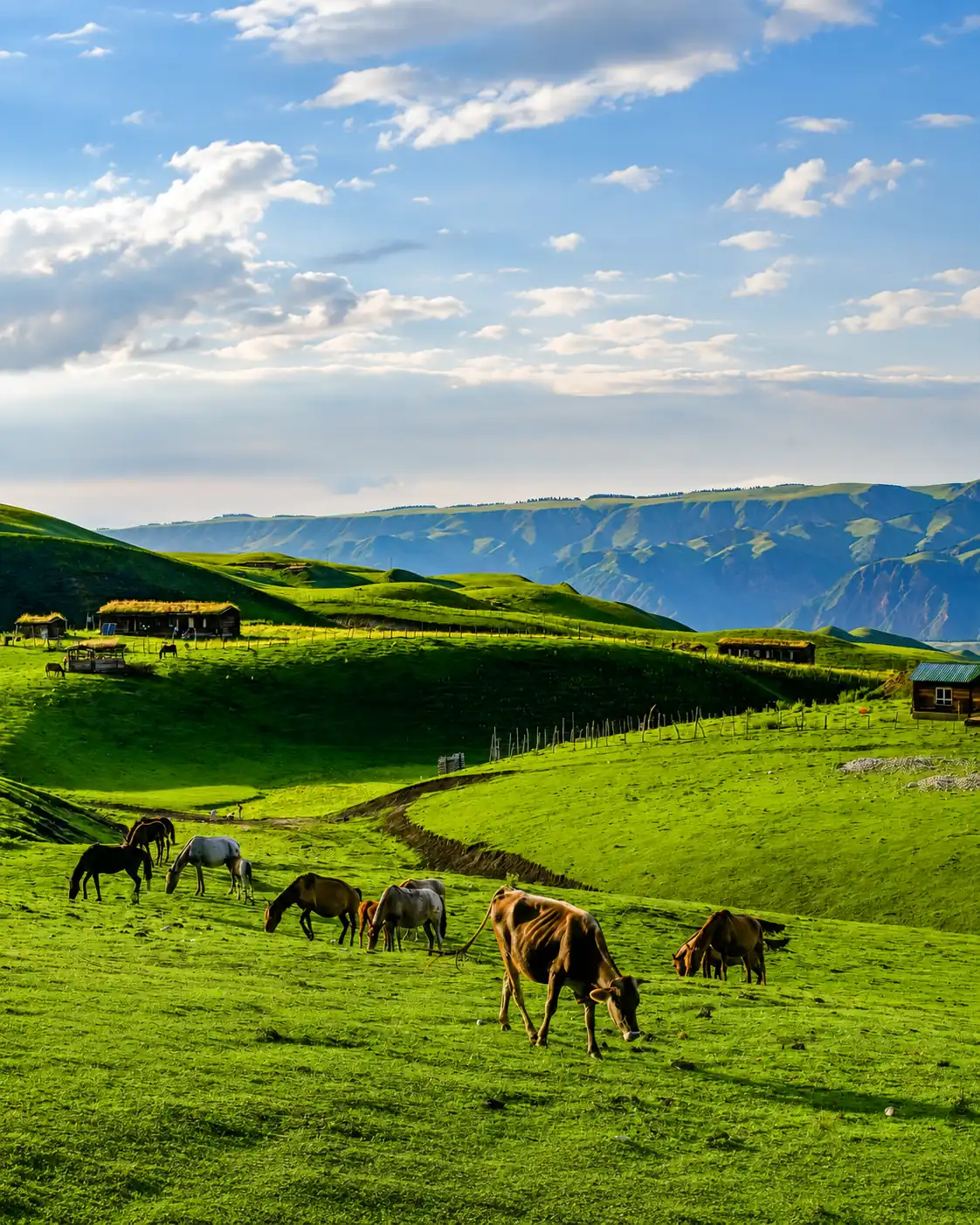 Summer mountain and grassland scenery in Xinjiang