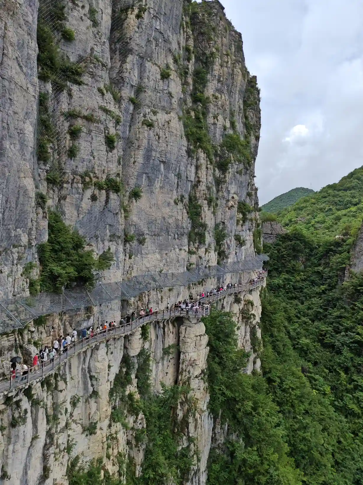 Sandstone landscape in Yangjiajie Scenic Area in Zhangjiajie