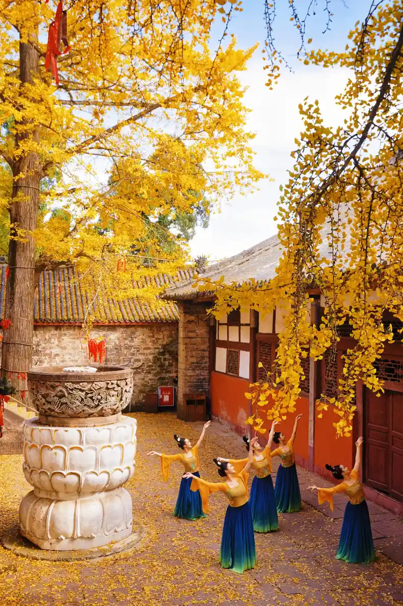 Autumn scenery and seasonal colors in Chengdu