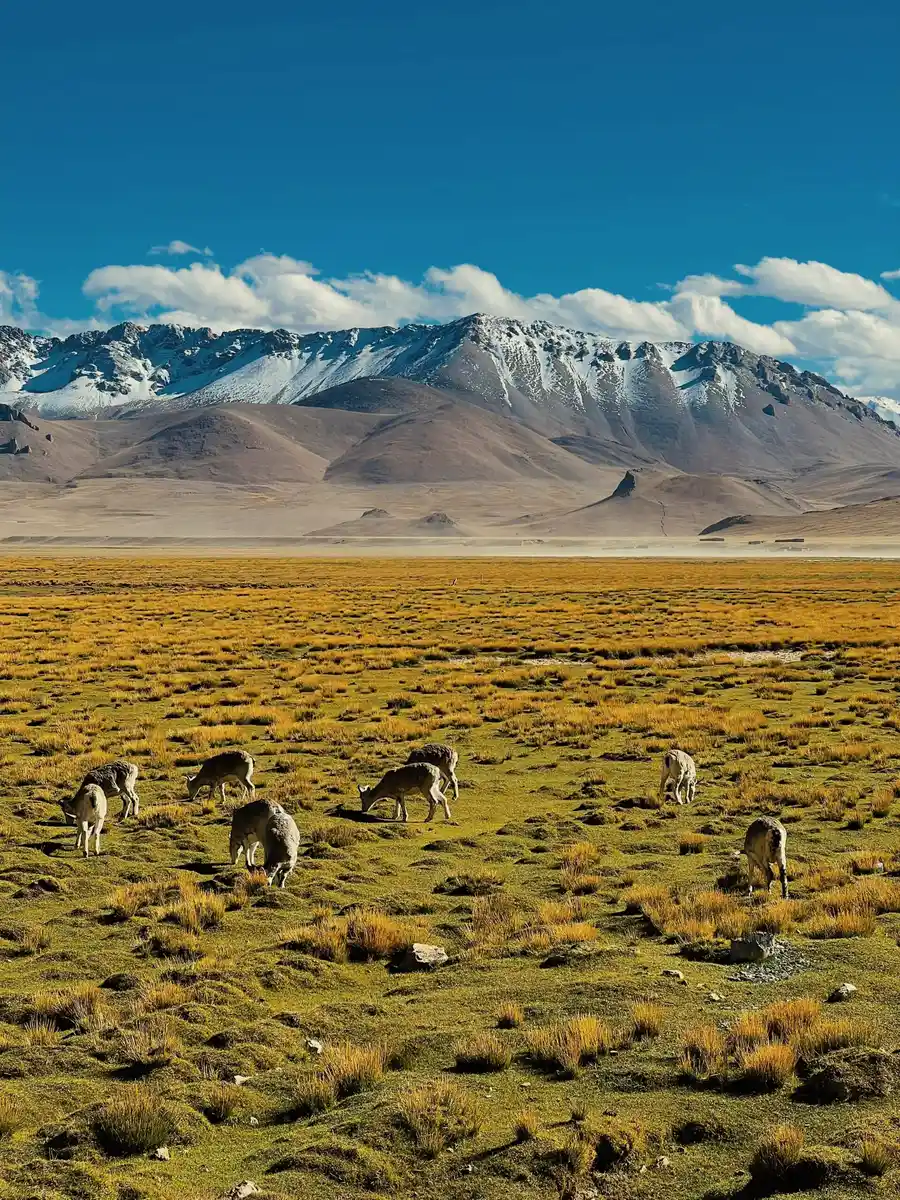 Clear autumn mountain scenery in Tibet