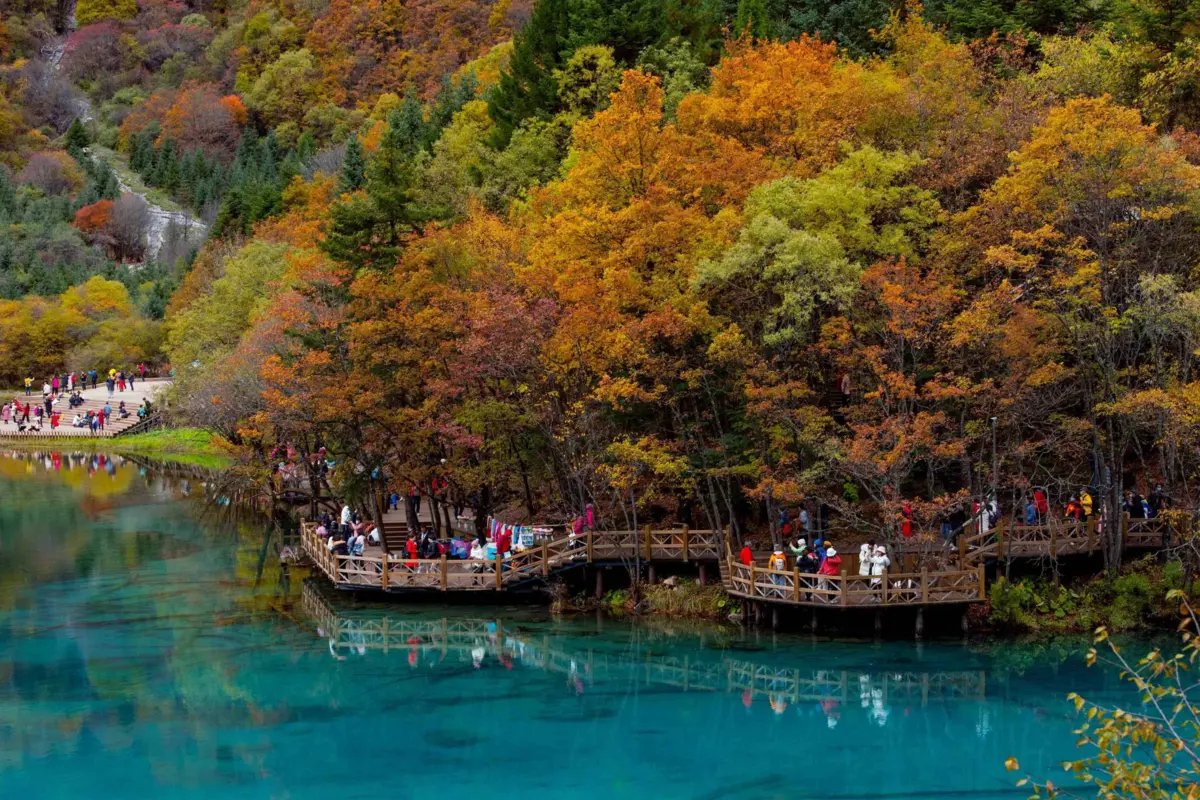 Jiuzhaigou lakes and colorful forest scenery during autumn in China