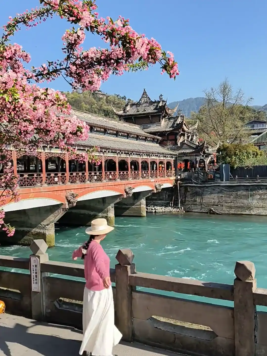 Spring scenery in Chengdu with green gardens and seasonal vegetation