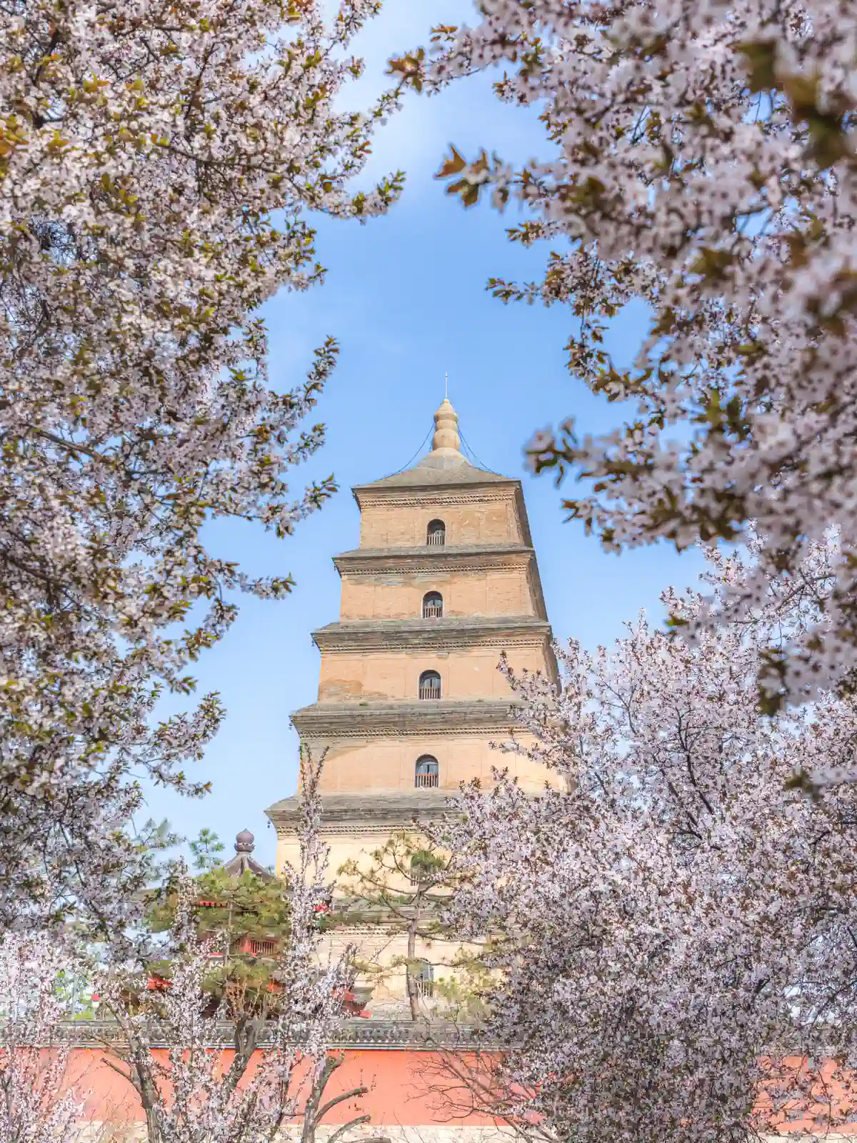 Giant Wild Goose Pagoda surrounded by spring blossoms in Xi'an
