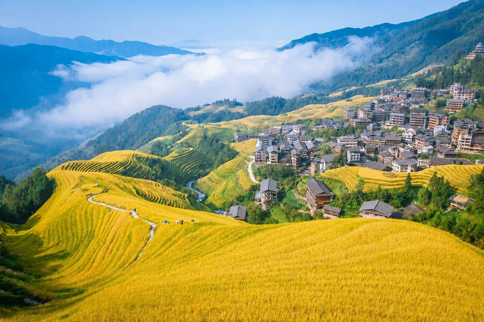 Longji Rice Terraces in the mountains near Guilin