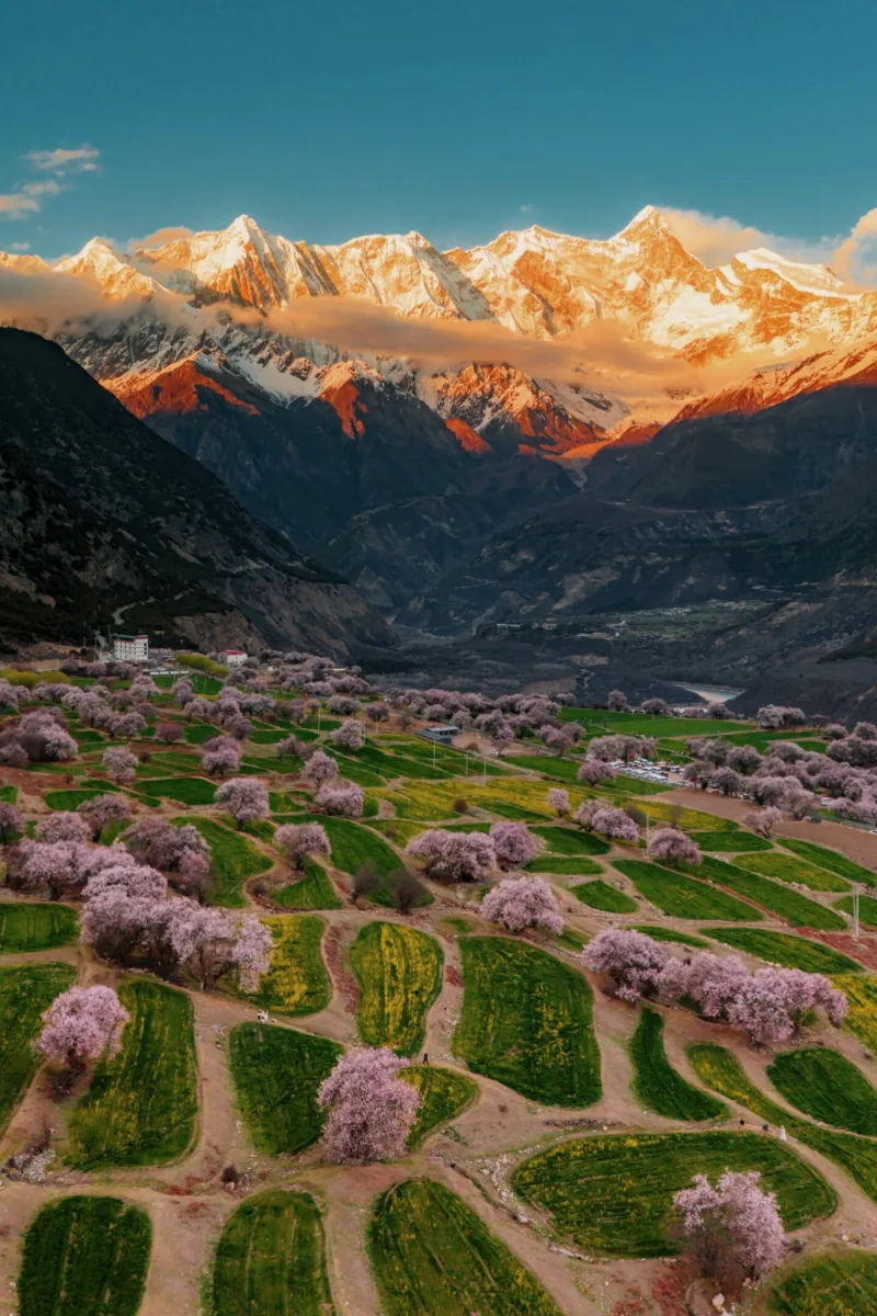 Spring landscape on the Tibetan Plateau