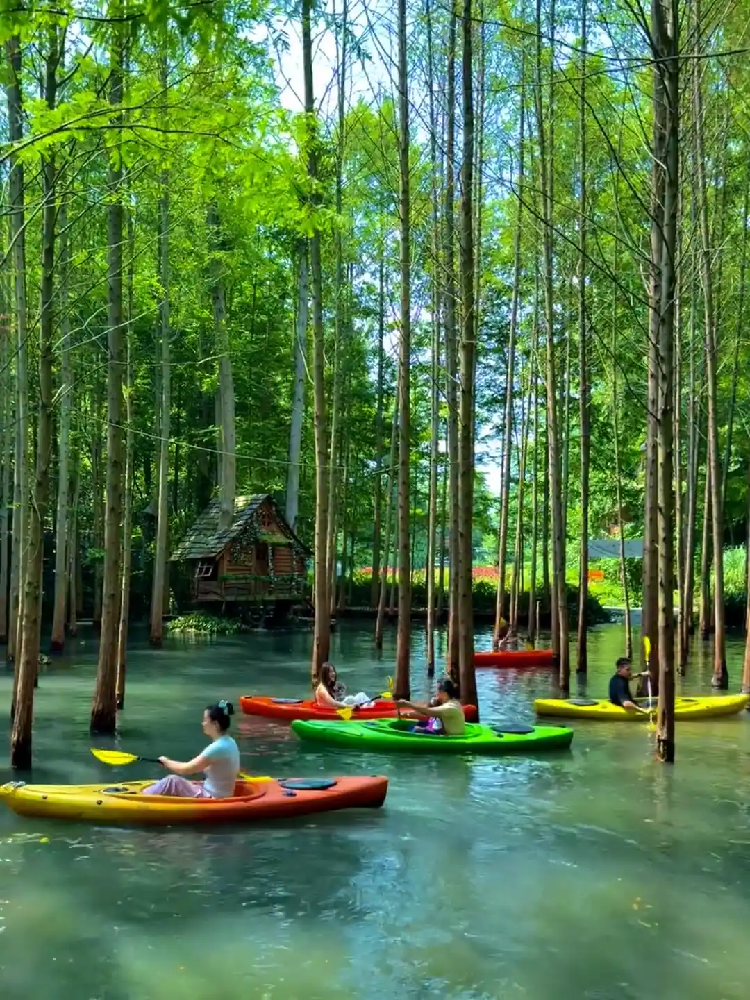 Summer greenery and warm weather scenery in Chengdu