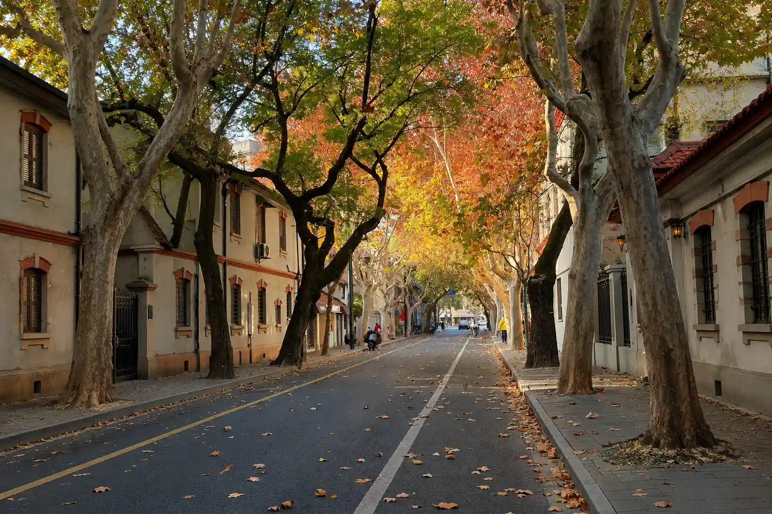 Seasonal Shanghai city scenery during comfortable spring or autumn weather
