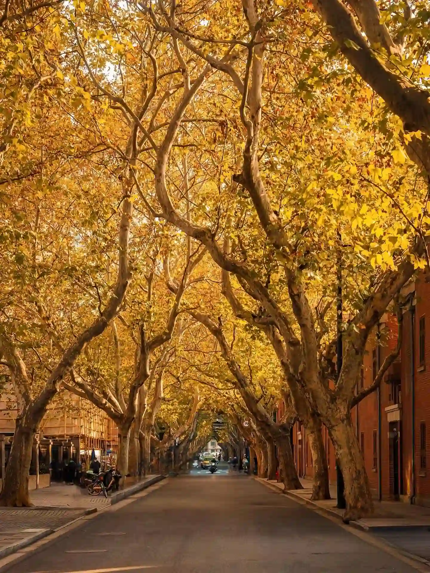 Shanghai in autumn with comfortable sightseeing weather