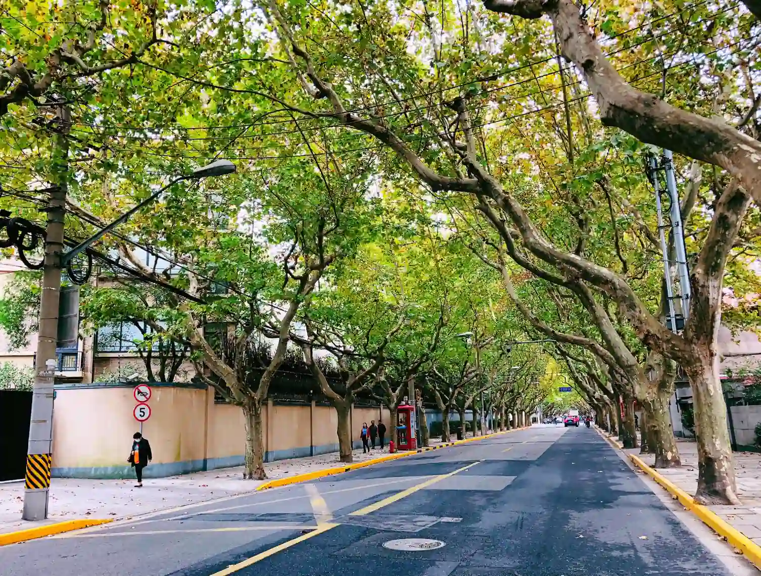 Tree-lined streets and historic buildings in Shanghai's Former French Concession