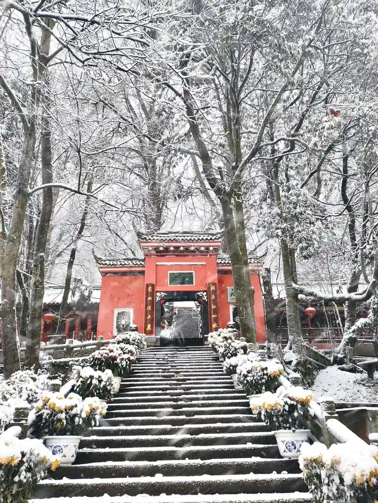 Cool winter scenery in Chengdu