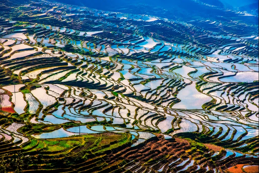 Water-filled Yuanyang Rice Terraces across the hills of southern Yunnan