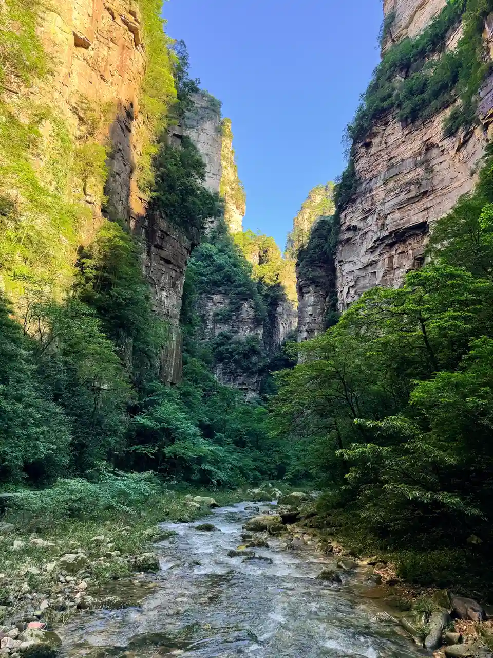Golden Whip Stream in Zhangjiajie during summer