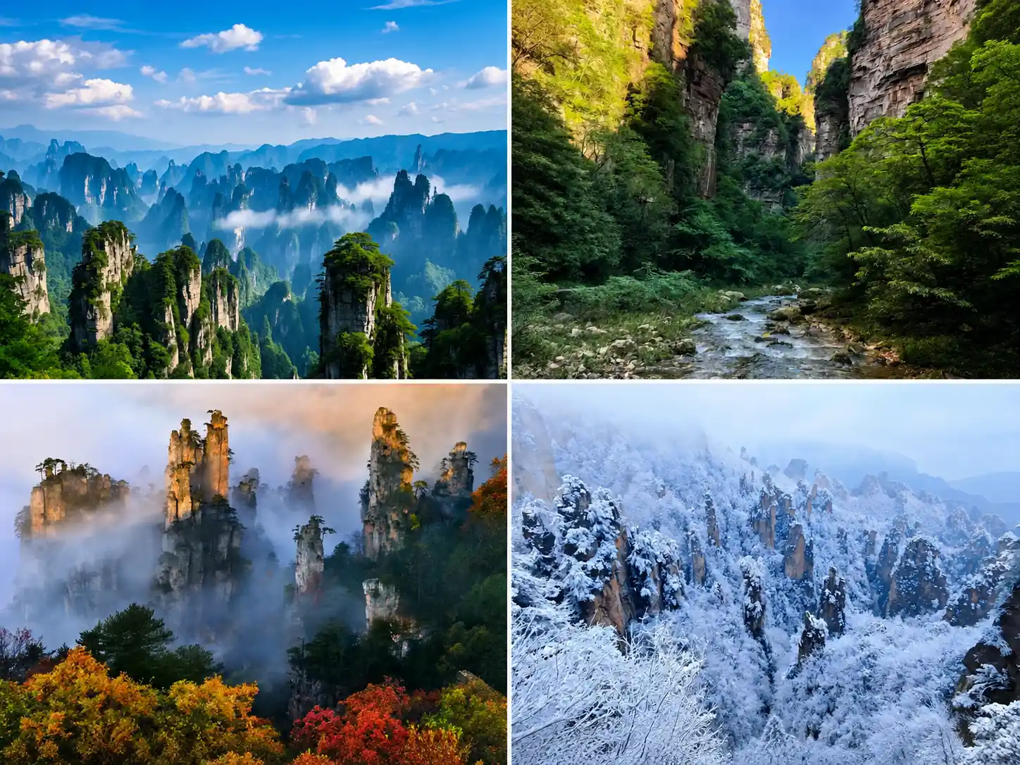 Seasonal landscapes in Zhangjiajie across spring, summer, autumn and winter