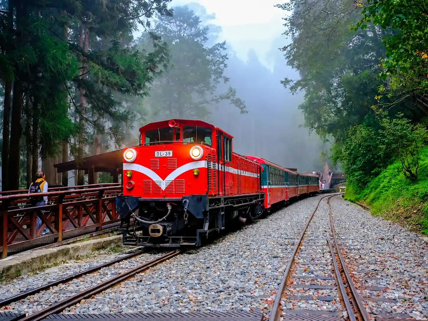 Alishan forest railway and mountain landscape in Taiwan
