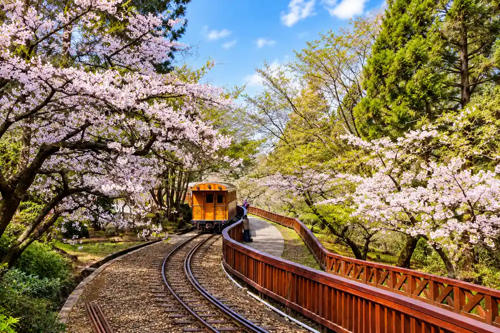 Seasonal mountain and travel scenery in Taiwan