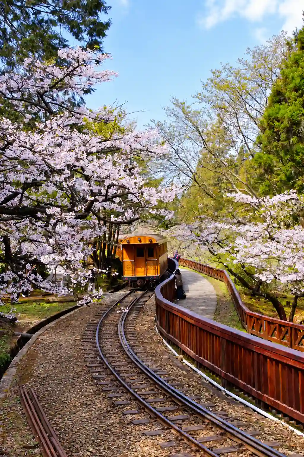 Spring mountain and flower scenery in Taiwan