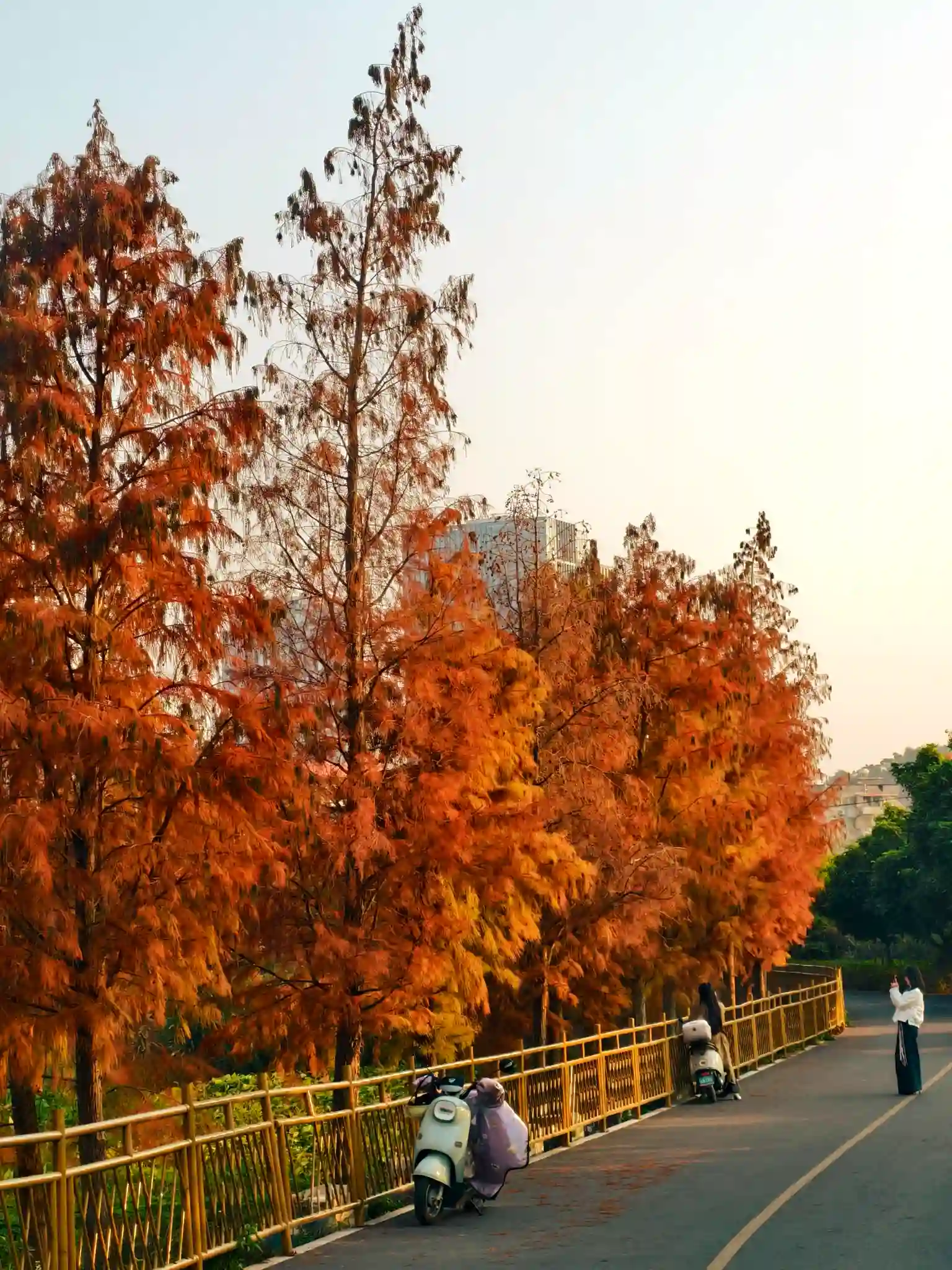 Autumn coastal views and clear skies in Xiamen