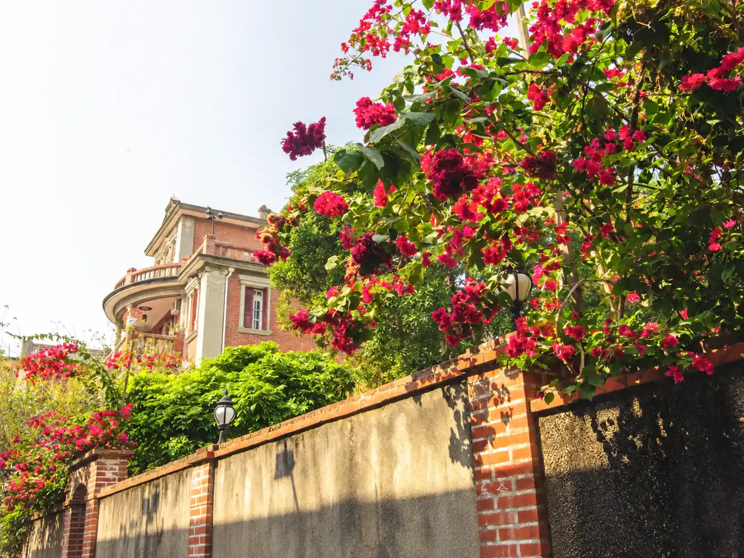 Bougainvillea beside a historic building in Xiamen