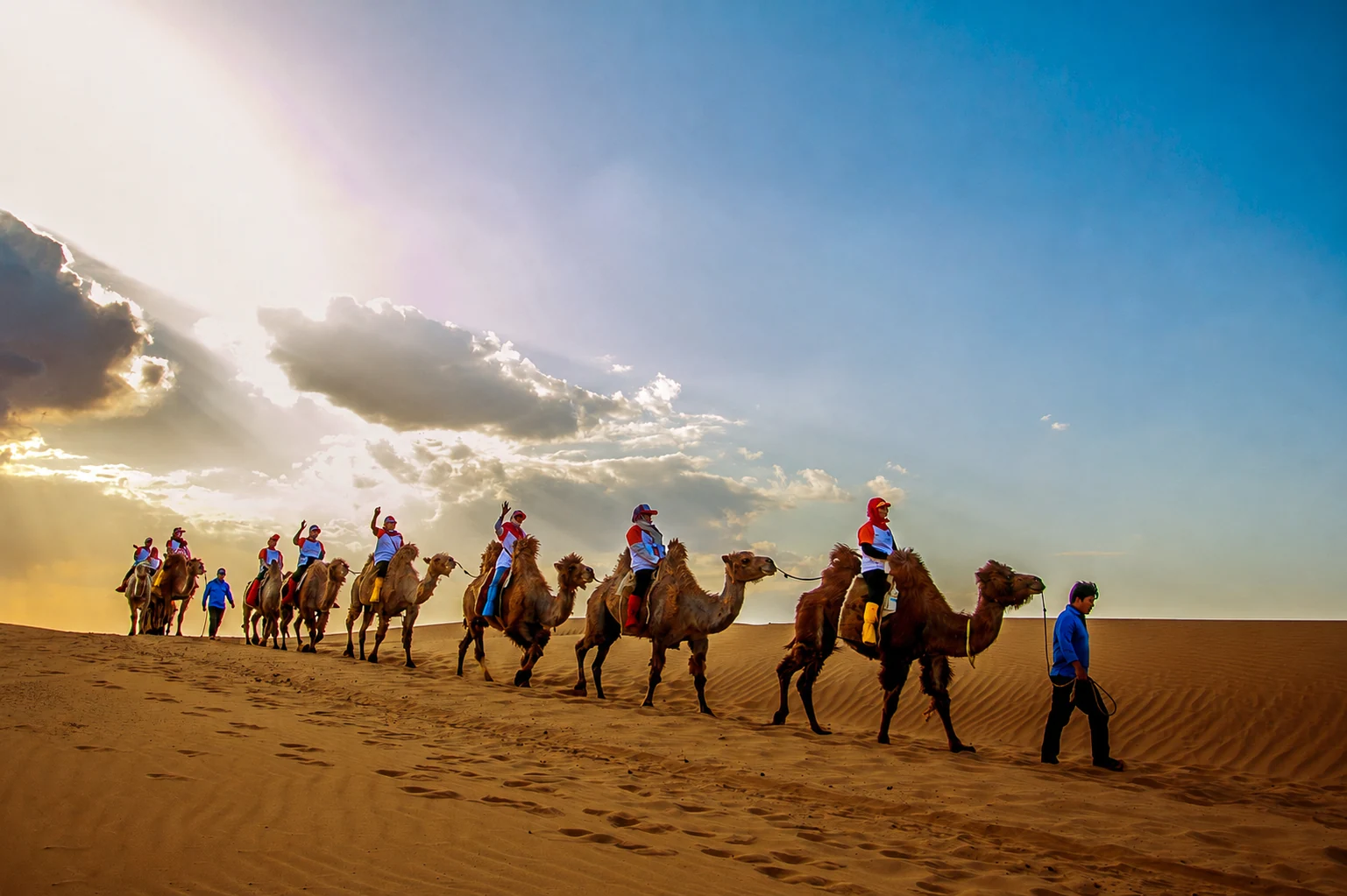 Camel caravan crossing sand dunes in the Kubuqi Desert at sunset