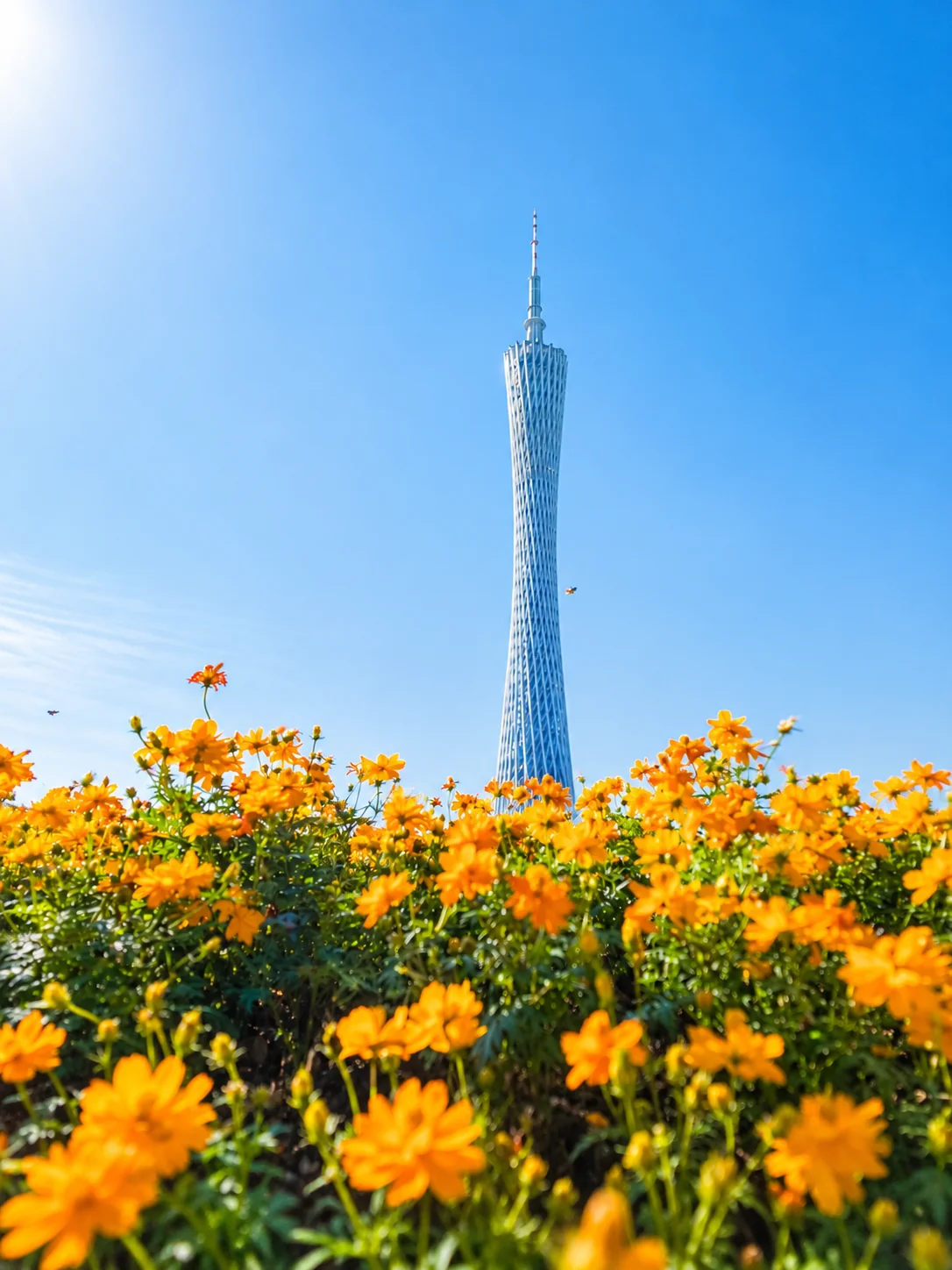 Guangzhou city and greenery during spring