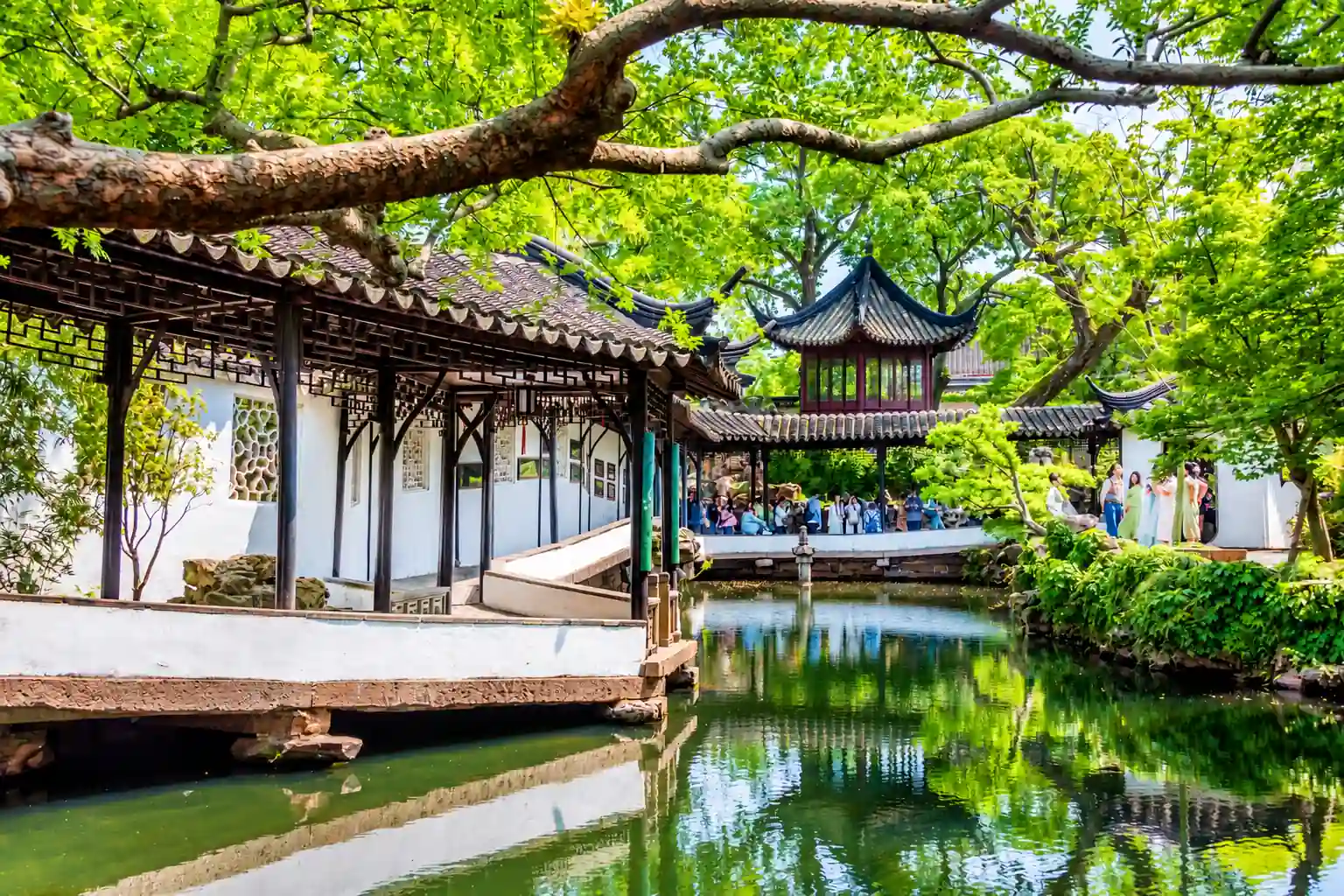 Classical Chinese Garden with Pond and Pavilion