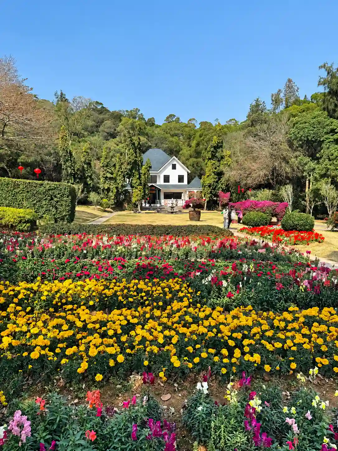Spring flowers and comfortable weather in Xiamen