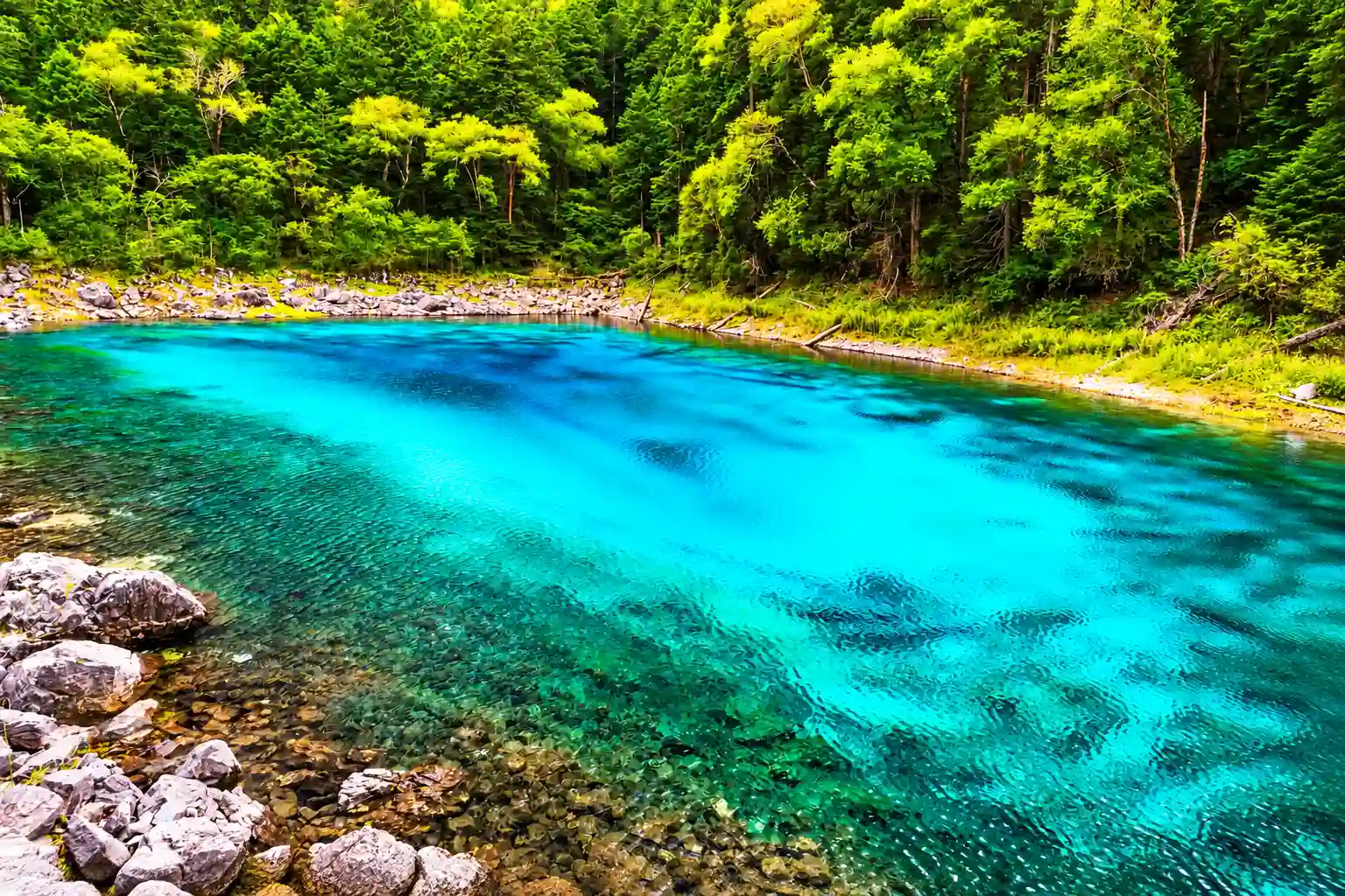 Five-Color Pond in Jiuzhaigou National Park