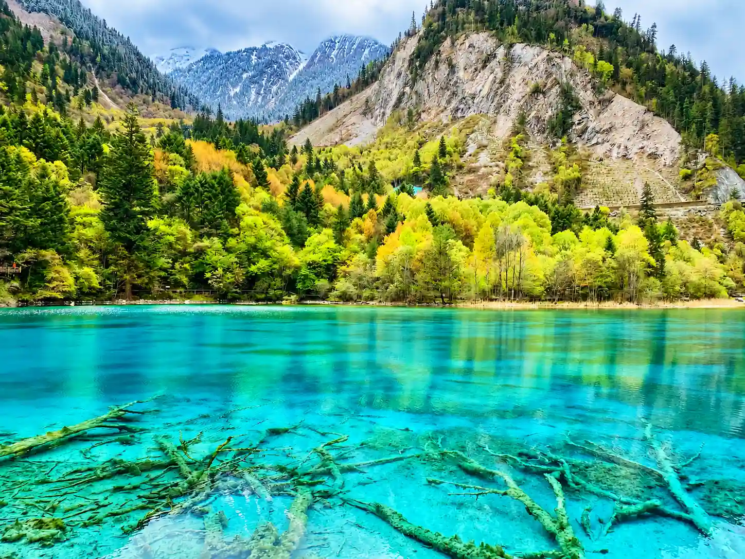 Five Flower Lake in Jiuzhaigou National Park
