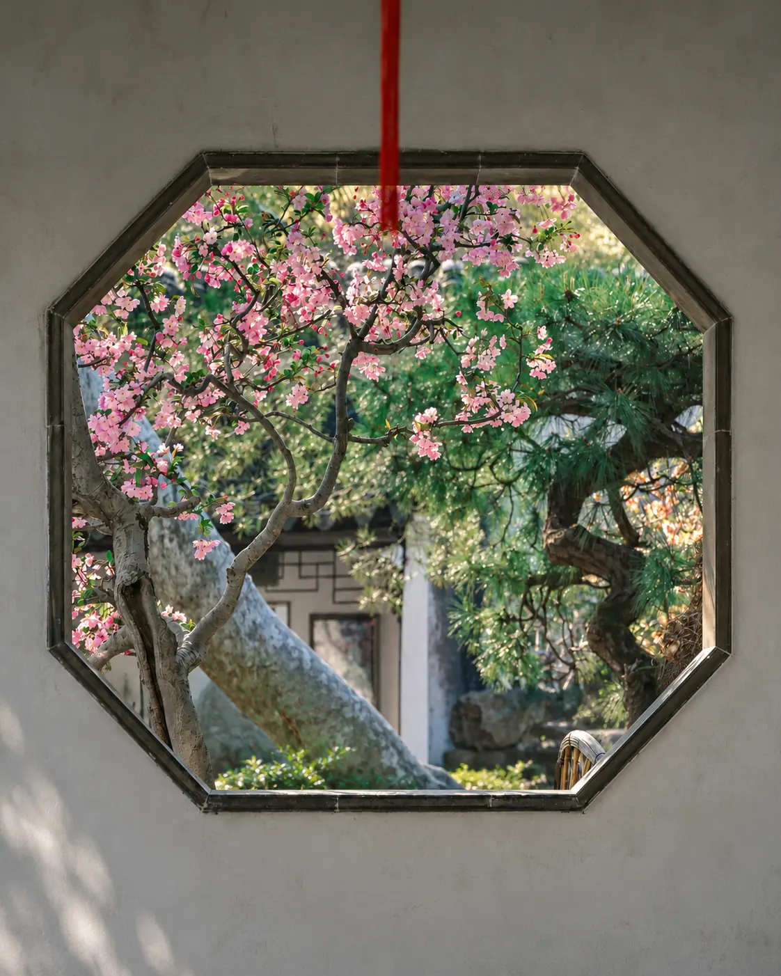 Flowering trees framed by the patterned windows of Suzhou gardens in spring