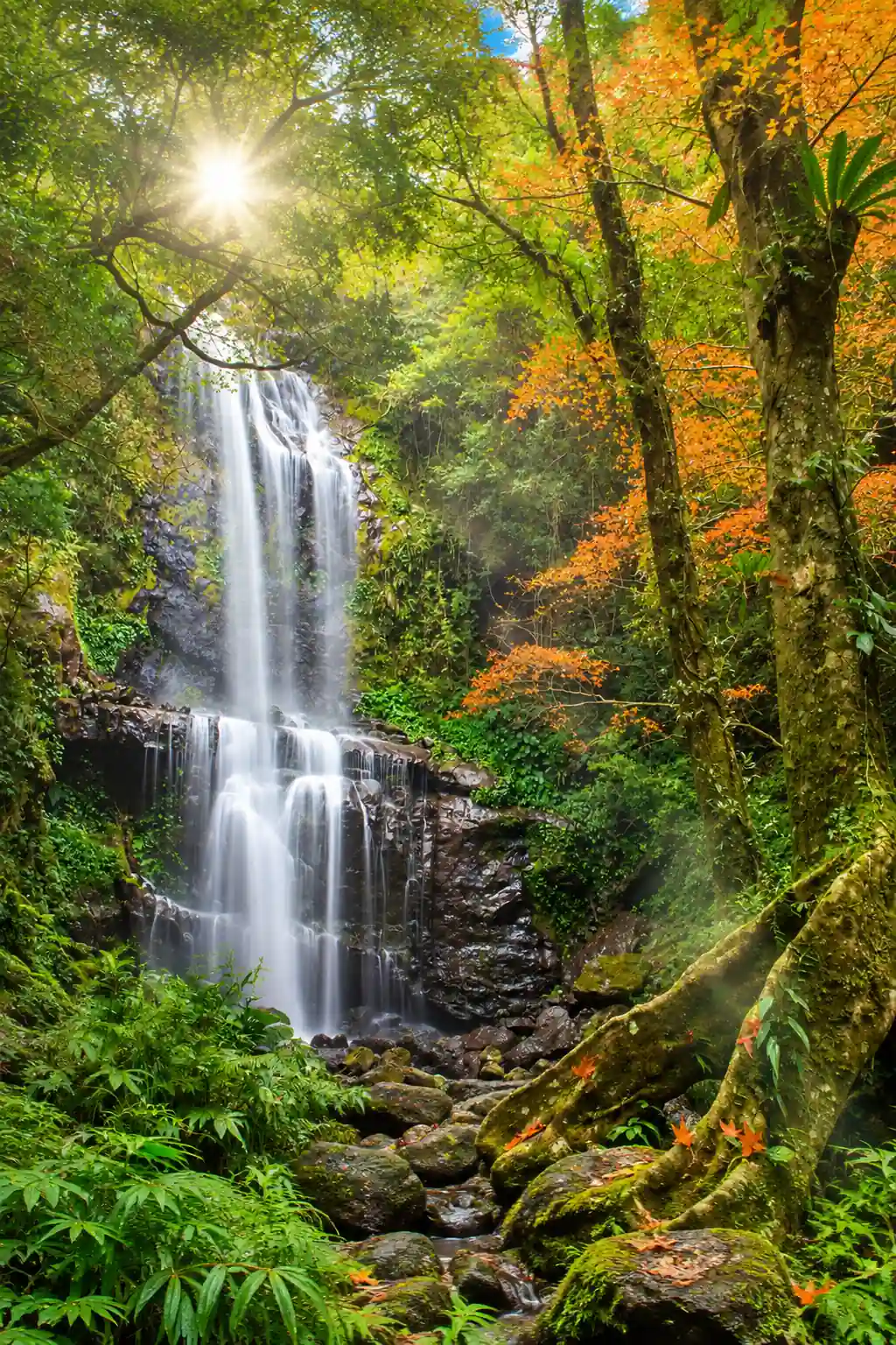 Autumn hiking and mountain scenery in Taiwan