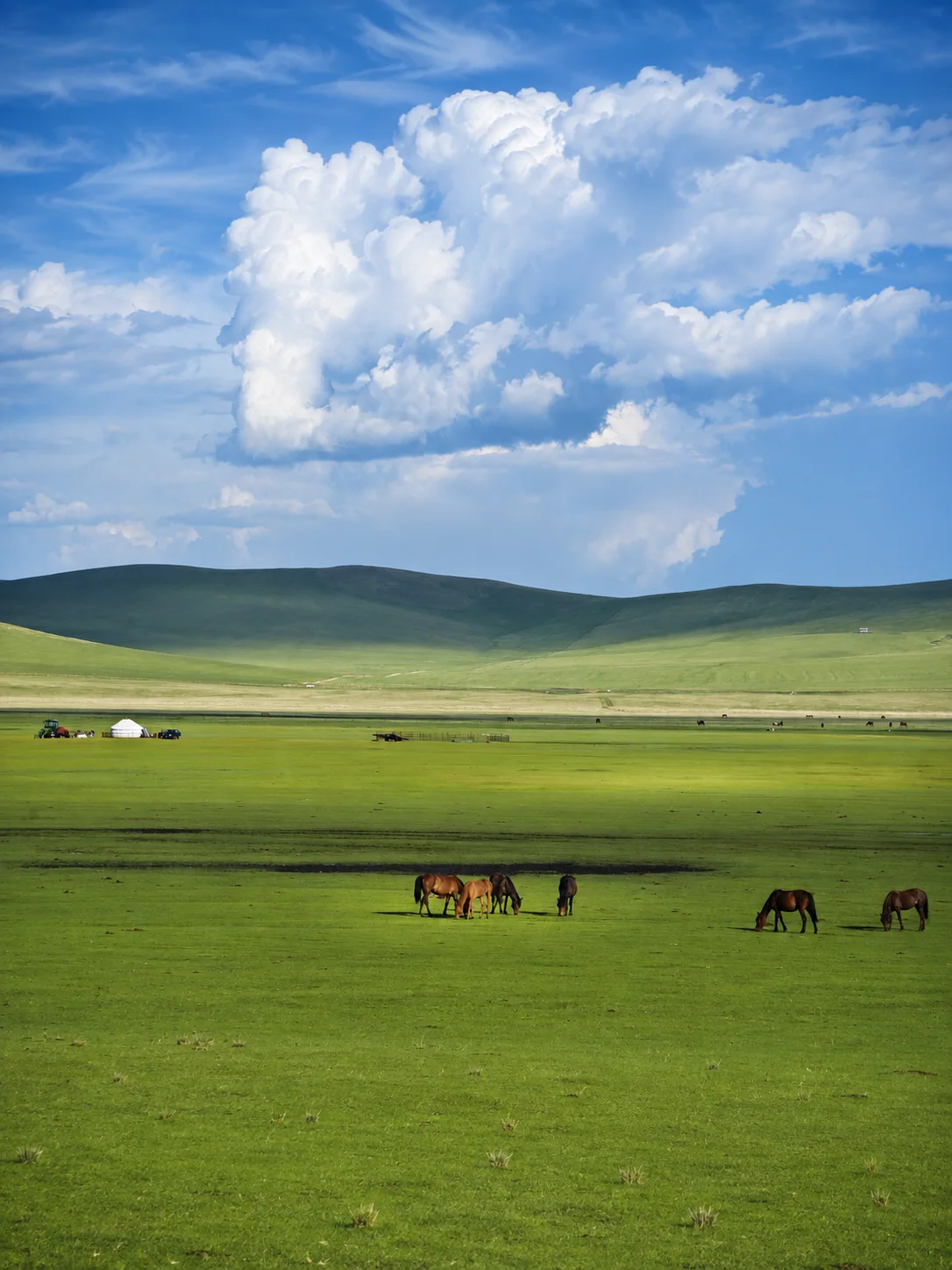 Horses grazing on a vast green Inner Mongolia grassland in summer